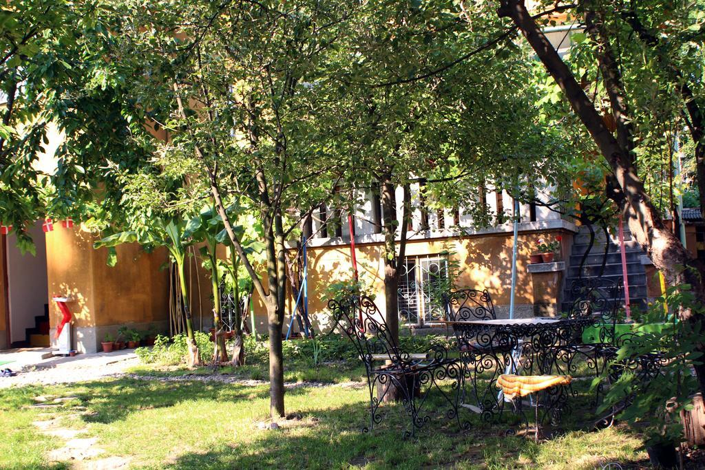 Hostel Costel Τιμισοάρα Εξωτερικό φωτογραφία