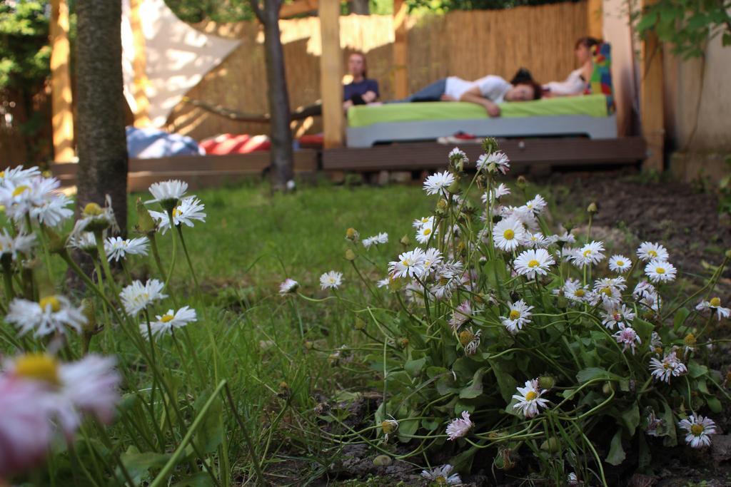 Hostel Costel Τιμισοάρα Εξωτερικό φωτογραφία